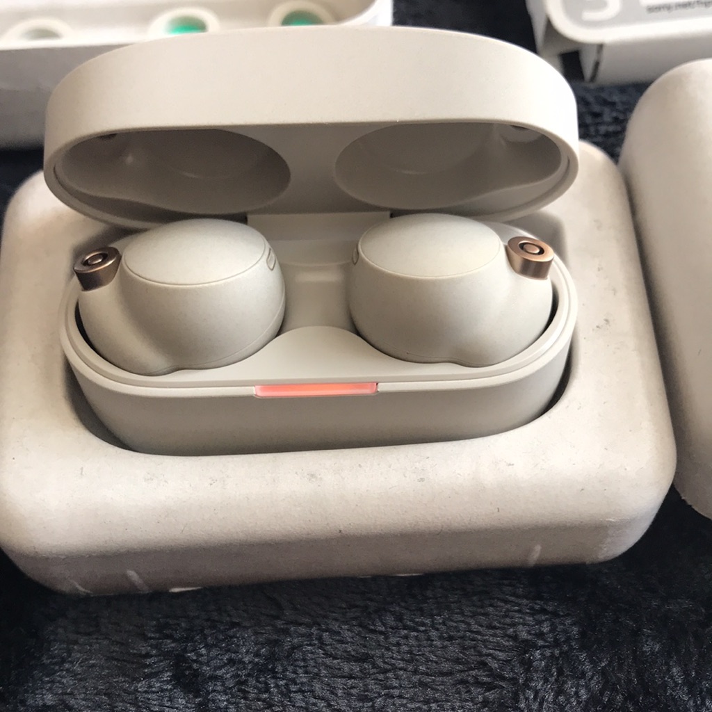 Sony Wf-1000xm4 Noise Canceling Wireless Earbuds- Silver